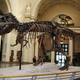 Illustration for article titled Rare T. Rex Takes Road Trip to Washington D.C.